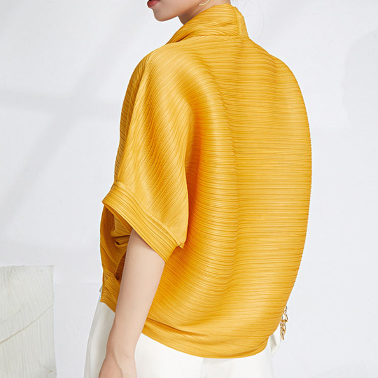 Izy Lynden Intricate Pleated Blouse