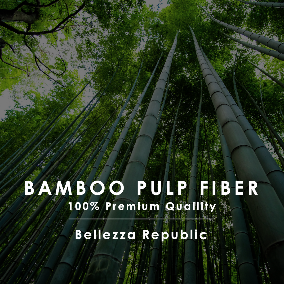 Evan Executive Bamboo Crew Socks