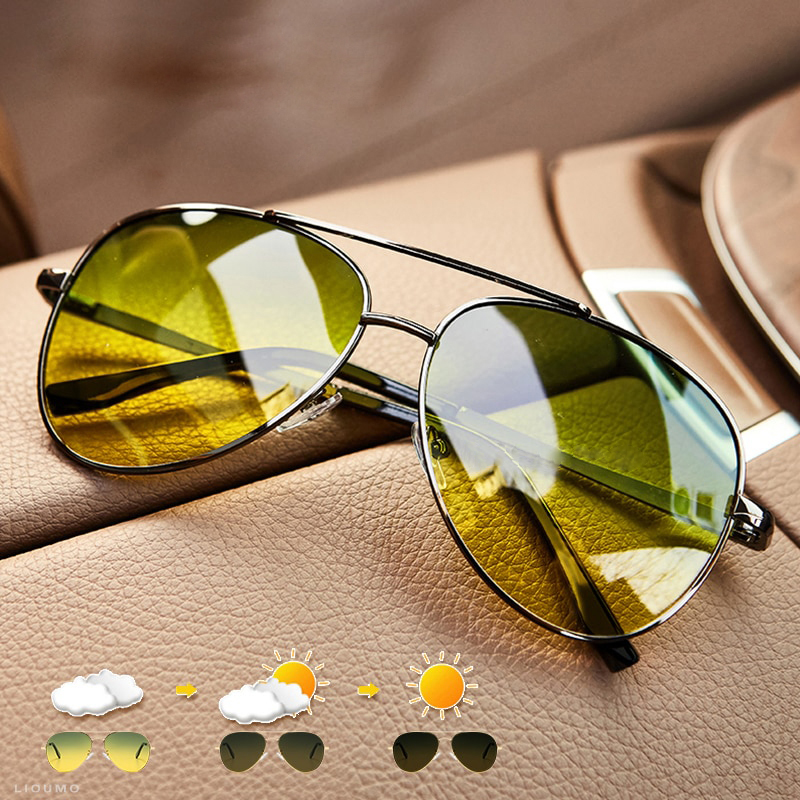 Phoenix Polarized Aviator Sunglasses