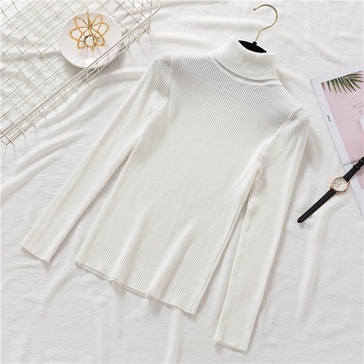 Magneluxe Turtleneck Cashmere Sweater